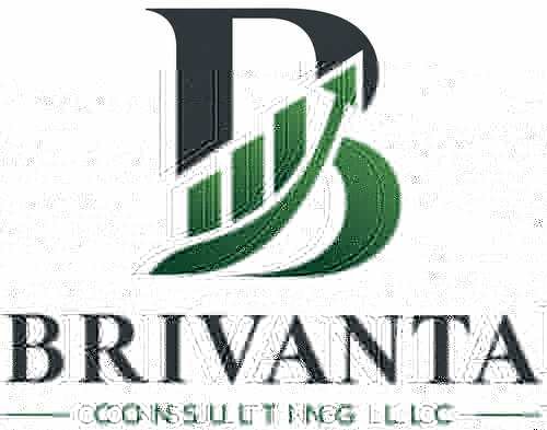 BRIVANTA CONSULTING LLC